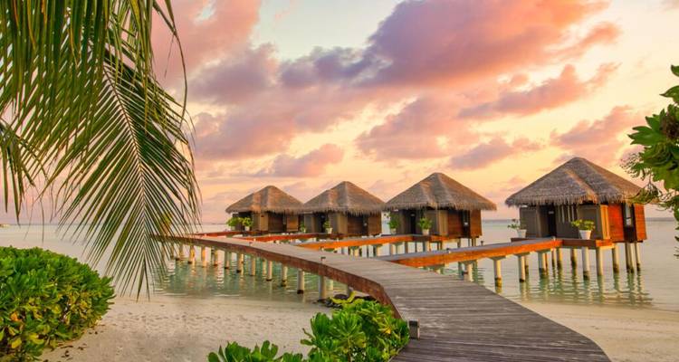 Tropical sunset casts pink clouds over overwater villas and a curving boardwalk lined with foliage.