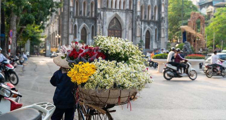 Bicyclette avec des fleurs dans une rue avec une cathédrale en arrière-plan.