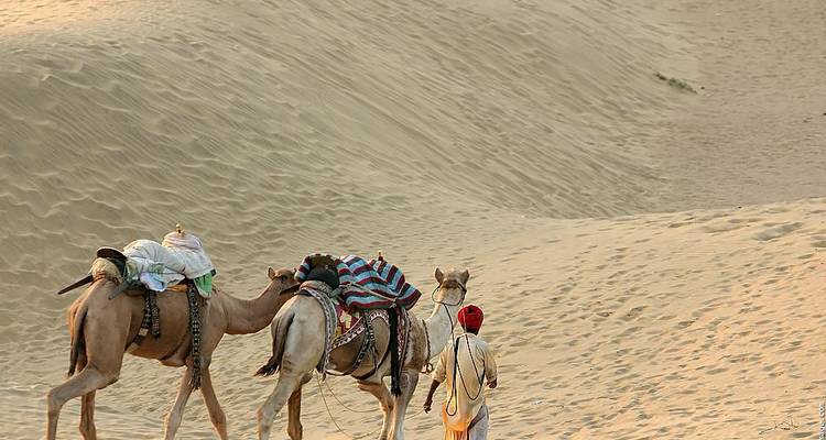 Kamelkaravaan die de zandduinen van de Thar-woestijn doortrekt.