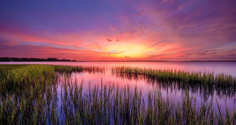 Brilliant sunset paints purple and orange hues over a calm coastal marsh.