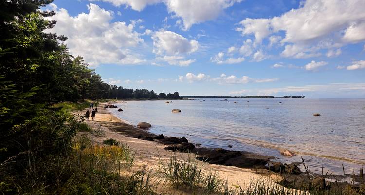 Sandy beach and calm Baltic Sea shoreline edged by forest in Lahemaa National Park.
