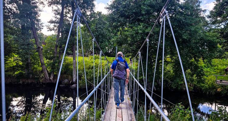 Hiker with backpack balances on a narrow suspension bridge over a forest stream in Lahemaa.