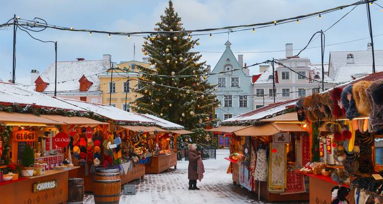 Daytime winter market scene with decorated stalls, a Christmas tree, and light snow on rooftops in a historic square.