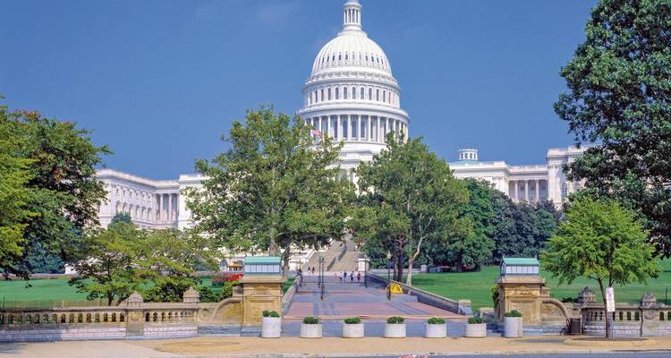 Front view of the United States Capitol building framed by green trees under a clear blue sky.