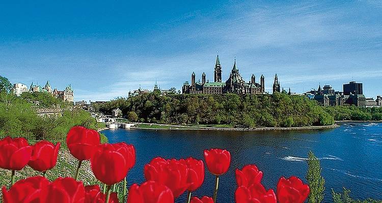 Panoramic riverside view of Canada’s Parliament Hill with blooming red tulips in the foreground.