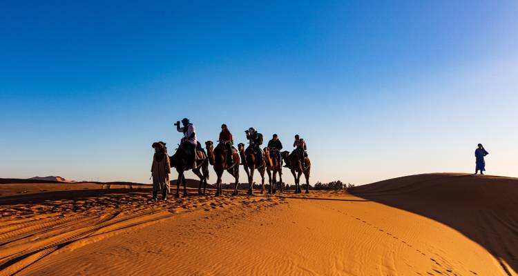 Caravane de touristes à dos de chameaux traversant les dunes dorées du Sahara sous un ciel bleu dégagé