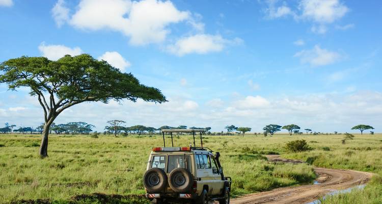 Un safari en 4x4 suit une piste de terre sinueuse à travers des prairies verdoyantes parsemées d'acacias aux cimes plates sous un ciel bleu éclatant.