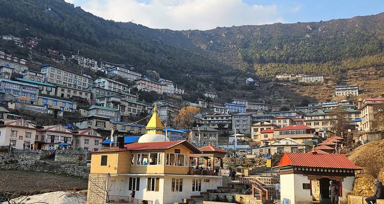 Hillside settlement of colorful lodges stacked along forested slopes of the Himalayas