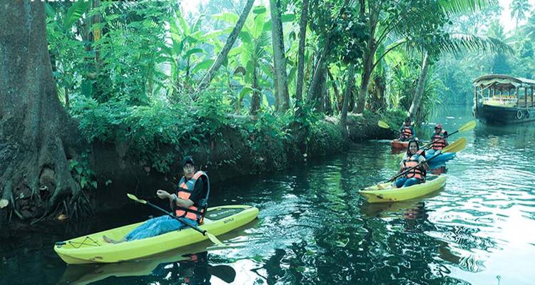 Gruppenkajak in einem üppigen, grünen Wasserweg.