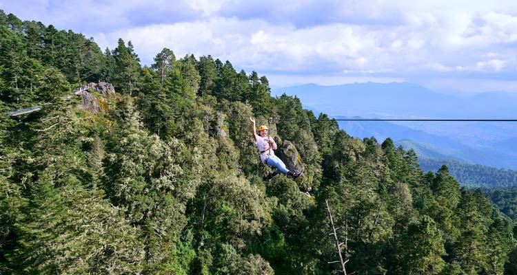 Personne faisant de la tyrolienne dans une forêt dense.