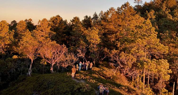 Groupe debout sur une colline entourée d'arbres au coucher du soleil.
