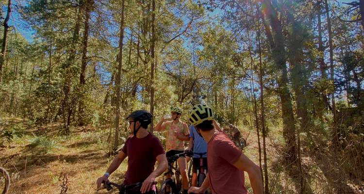 Ciclistas con cascos hacen una pausa en un sendero forestal iluminado por el sol durante una sesión de bicicleta de montaña.