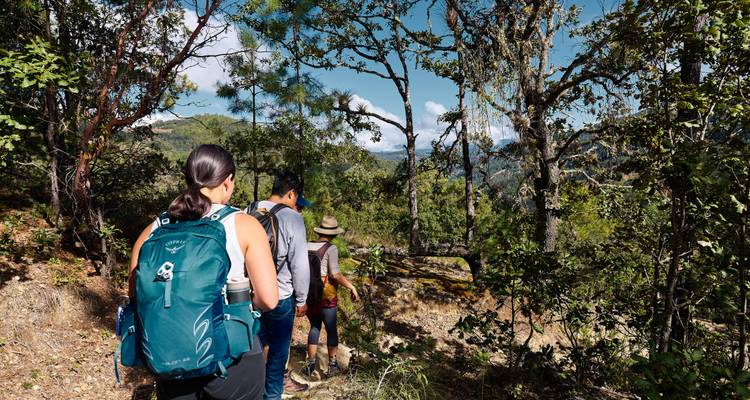 Los excursionistas se detienen en una ladera boscosa con vistas a un valle de colinas verdes.