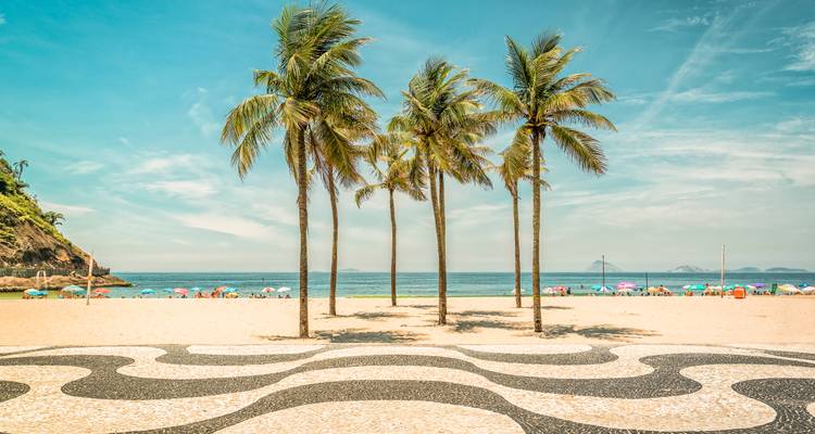 Beach scene with palm trees against a bright blue sky.