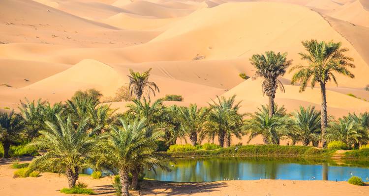 Oase mit Palmen und einem kleinen Wasserbecken in der Wüste.
