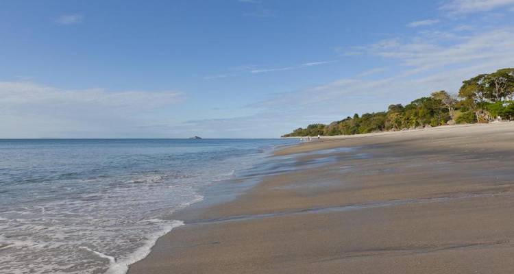Una playa serena con olas suaves y una línea de árboles exuberante.