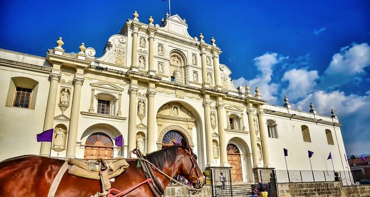 Façade d'église baroque coloniale à Antigua avec un cheval sellé passant au premier plan
