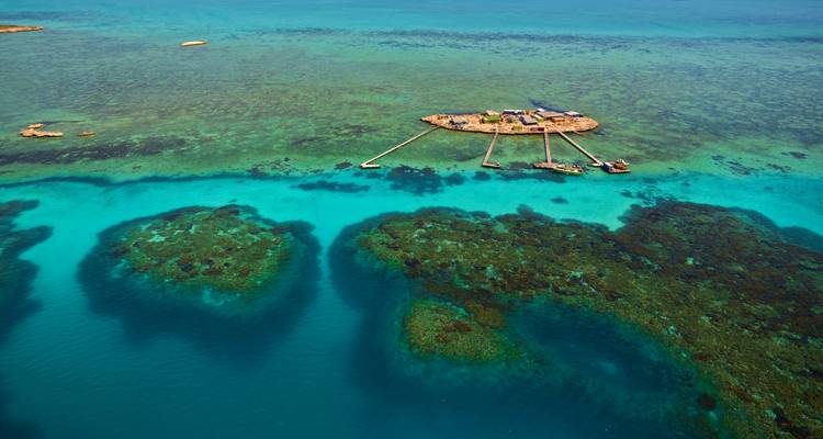 Luftaufnahme eines Korallenriffs mit klarem blauen Wasser.