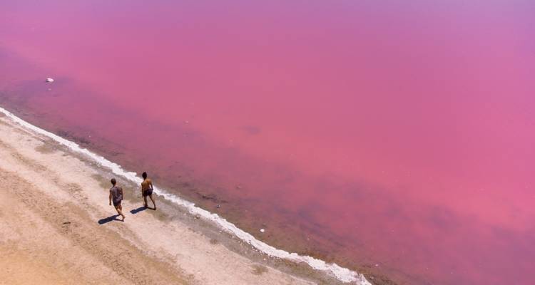 Zwei Menschen, die am Rand eines rosa Sees entlanglaufen.