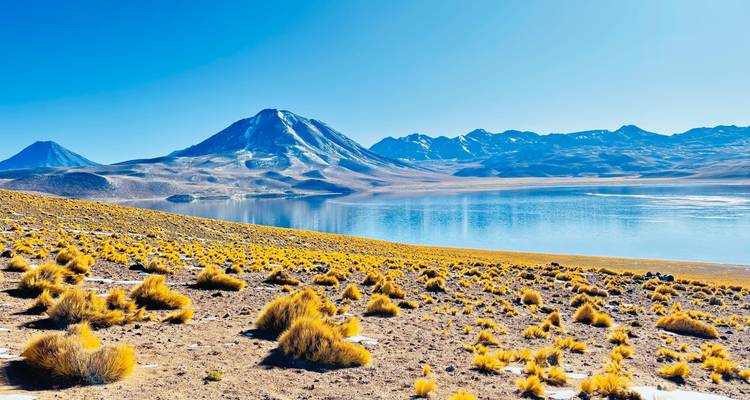 Hochgebirgs-Wüstenlandschaft mit üppiger Vegetation.
