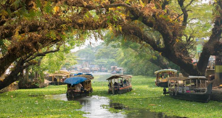 Pequeñas barcas cubiertas se deslizan por un canal frondoso cubierto de vegetación verde.