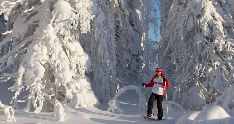 Un randonneur en raquettes vêtu d'une veste aux couleurs vives traverse une forêt dense d'arbres chargés de neige fraîche.