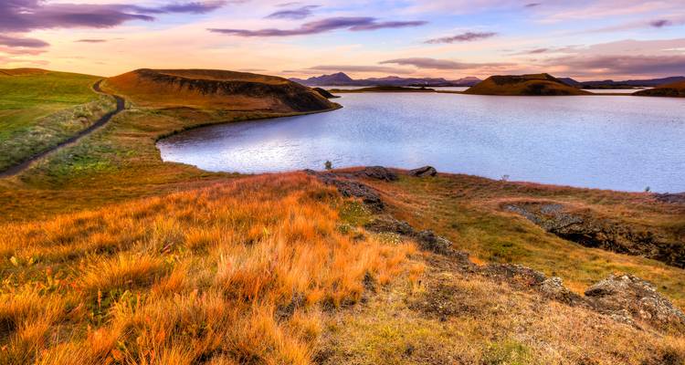 Los pastos de otoño brillan de color naranja alrededor del Lago Myvatn al atardecer con crestas volcánicas distantes.