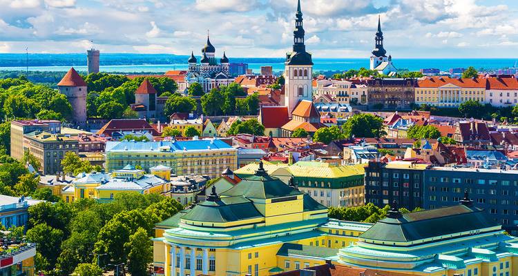 Die farbenfrohe mittelalterliche Silhouette mit roten Dächern der Altstadt von Tallinn, umgeben von Grünflächen und Meer.