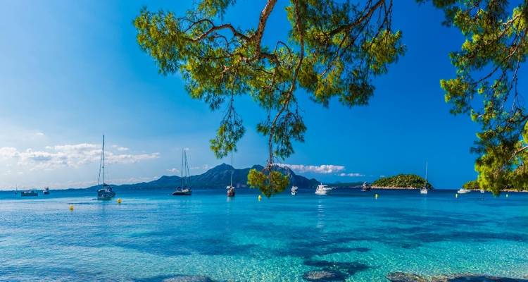 Serene beach scene with sailboats and green hills in the background.