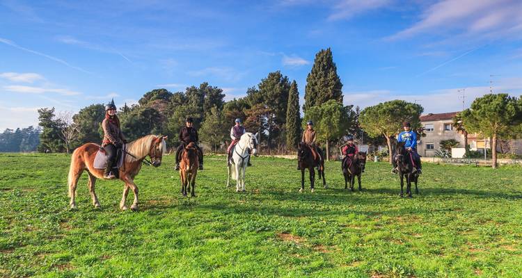 Groupe de personnes à cheval dans un champ herbeux avec des arbres en arrière-plan.