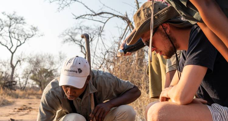 Guide kneels on a sandy track interpreting animal signs while a traveller observes closely.