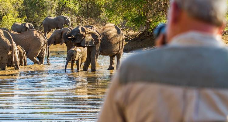 Herd of elephants including a calf wading in a river while a photographer captures the moment from shore.