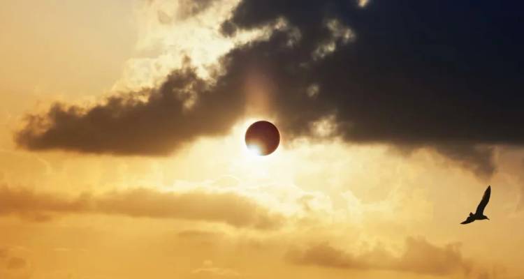 Solar eclipse partially obscured by clouds with a lone bird flying across a dramatic sky.
