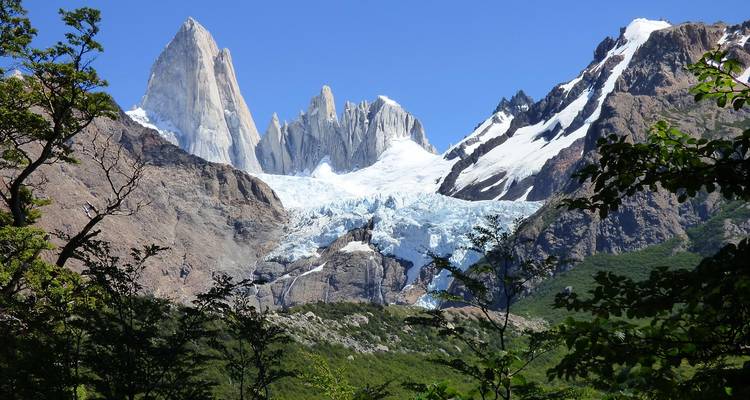Besneeuwde bergen gezien vanuit een bebost gebied.