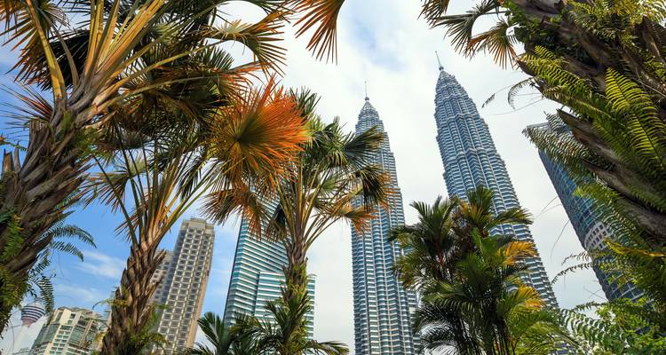 Torres Petronas con palmeras en primer plano.