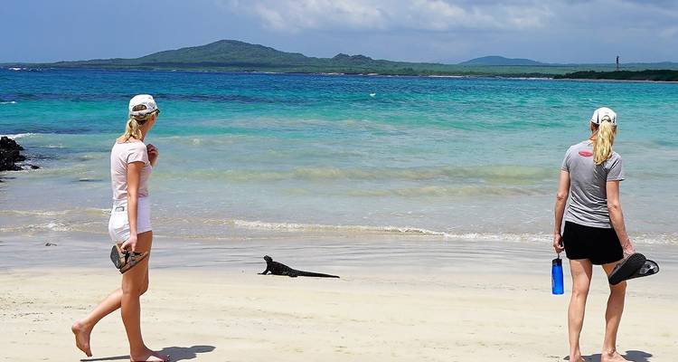Deux voyageurs marchant pieds nus sur une plage de sable blanc aux Galápagos tandis qu'une iguane marine se prélasse près d'une eau turquoise.