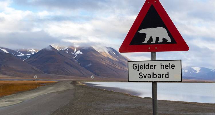 Panneau d'avertissement routier présentant une silhouette d'ours polaire avec des montagnes arctiques et un fjord au-delà