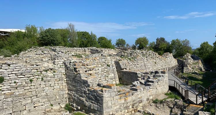 Ancient ruins with stone walls and trees.