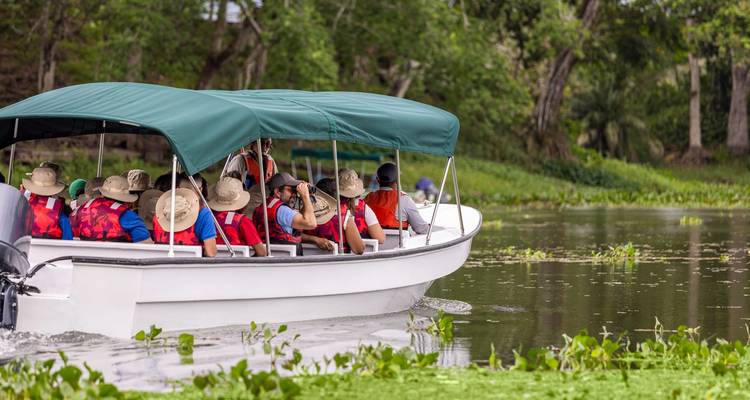 Un bateau avec des touristes sur une rivière entourée d'arbres.