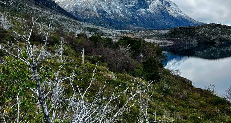 Berglandschap met bos en meer