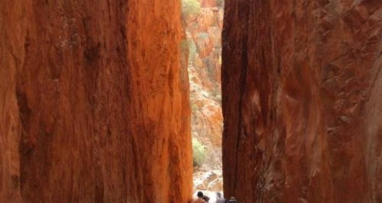 Classic Larapinta Trek in Comfort - World Expeditions
