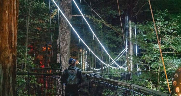 Persoon die loopt op een hangende loopbrug met lichten in een bos 's nachts.