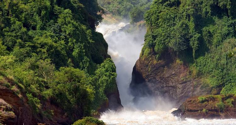 Powerful waterfall flowing through a lush green gorge.