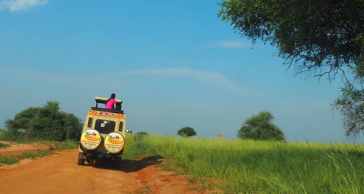 Person on a safari vehicle observing a giraffe in the distance.
