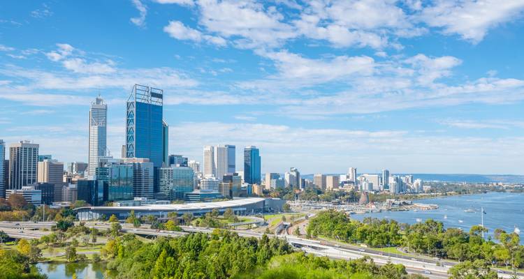 Weitläufige Aussicht auf das Perth CBD vom Kings Park mit Wolkenkratzern, dem Swan River und üppigen Parklandschaften unter blauem Himmel.