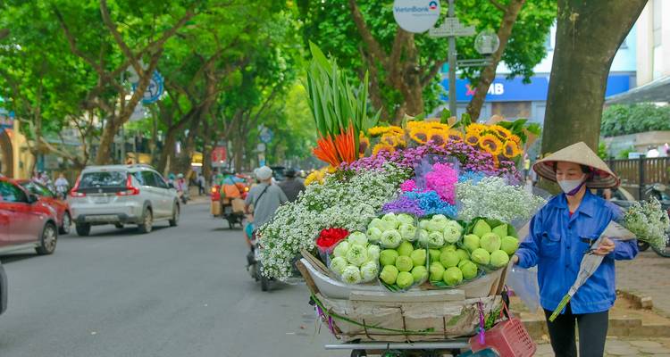 Vendeur de rue avec un chariot à vélo de fleurs colorées et de végétation.