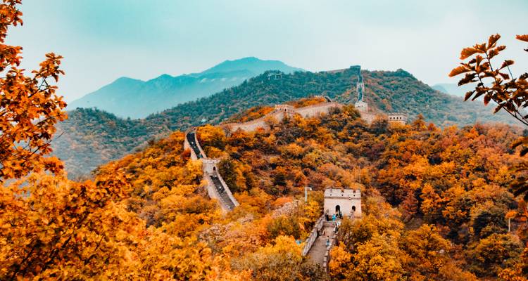 Great Wall of China surrounded by autumn foliage.