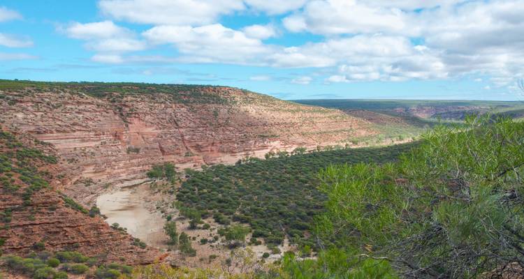 Wide view over a rugged red canyon with green scrubland and a dry riverbed below.