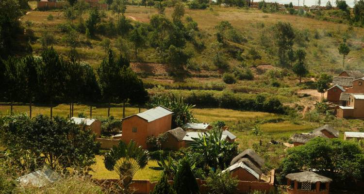 Patchwork de petites maisons rurales et de champs sur des collines verdoyantes ondulantes