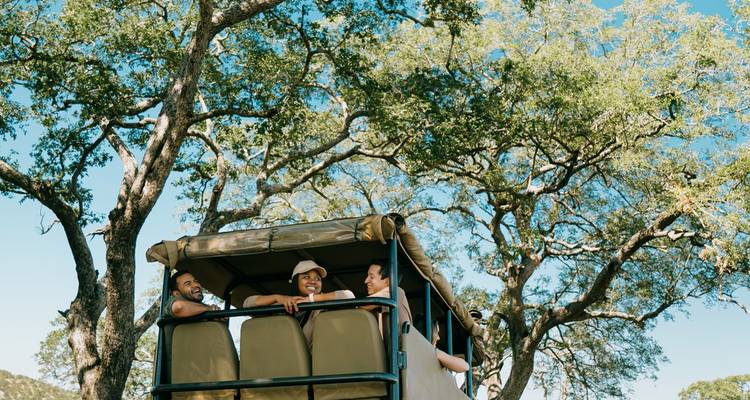 Group of friends on a safari vehicle surrounded by trees.